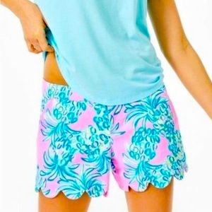NWT Lilly Pulitzer Buttercup Stretch Short Size 16